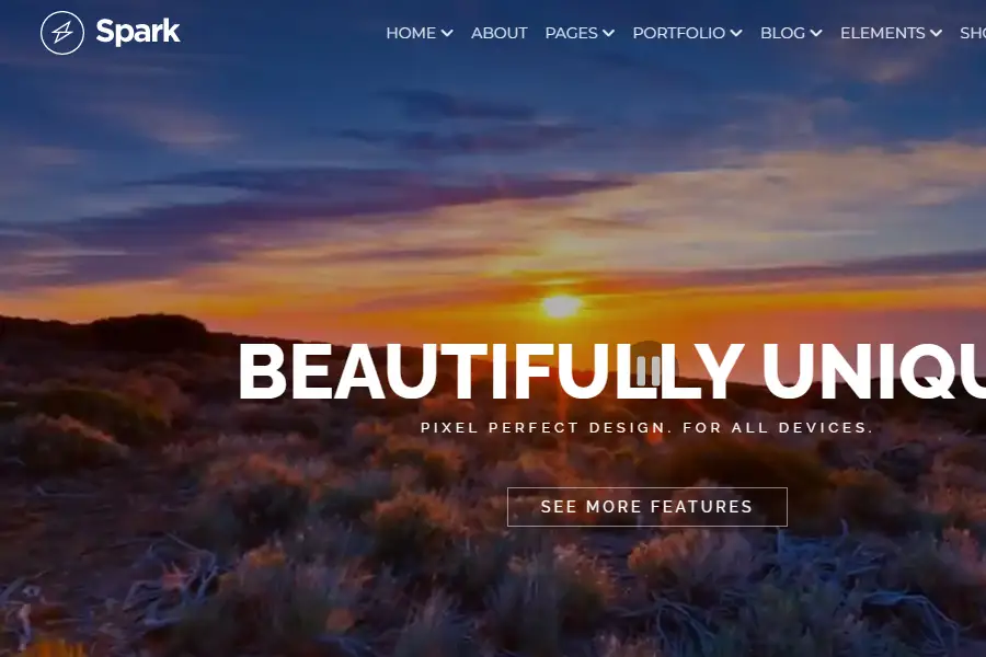 Spark - Drag & Drop WordPress Theme